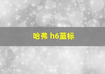 哈弗 h6蓝标